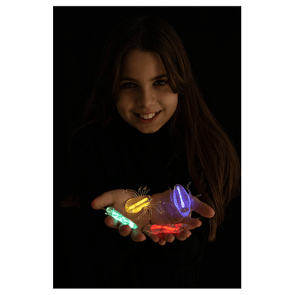 Alpha 55 Set de 4 Insectes Lumineux – Déco Halloween