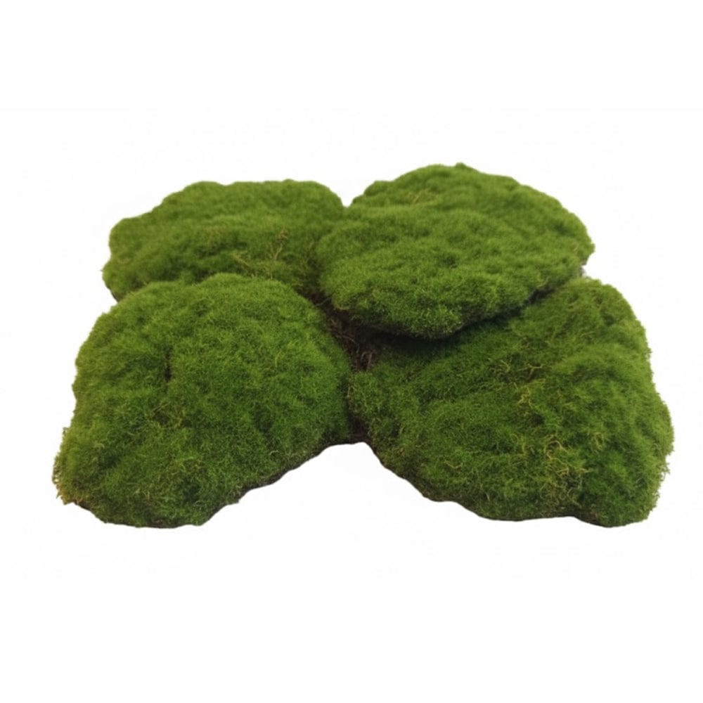 Alpha 55 Set de 5 galets en mousse artificielle décorative