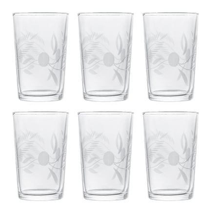 Alpha 55 Set de 6 verres à thé