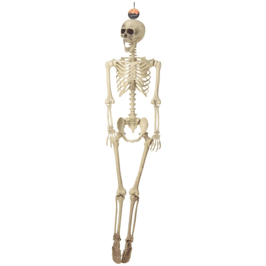 Alpha 55 Squelette 165 cm – Décoration Halloween