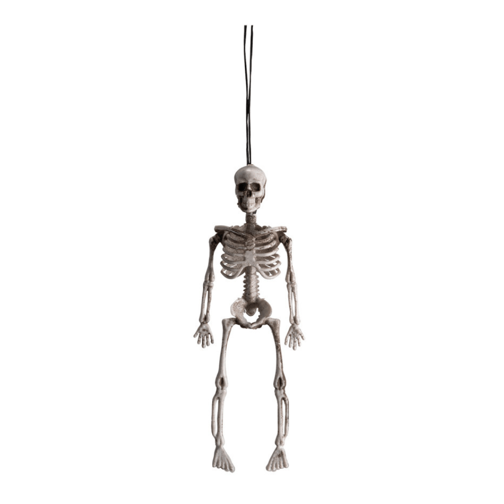 Alpha 55 Squelette 20 cm Décoration Halloween