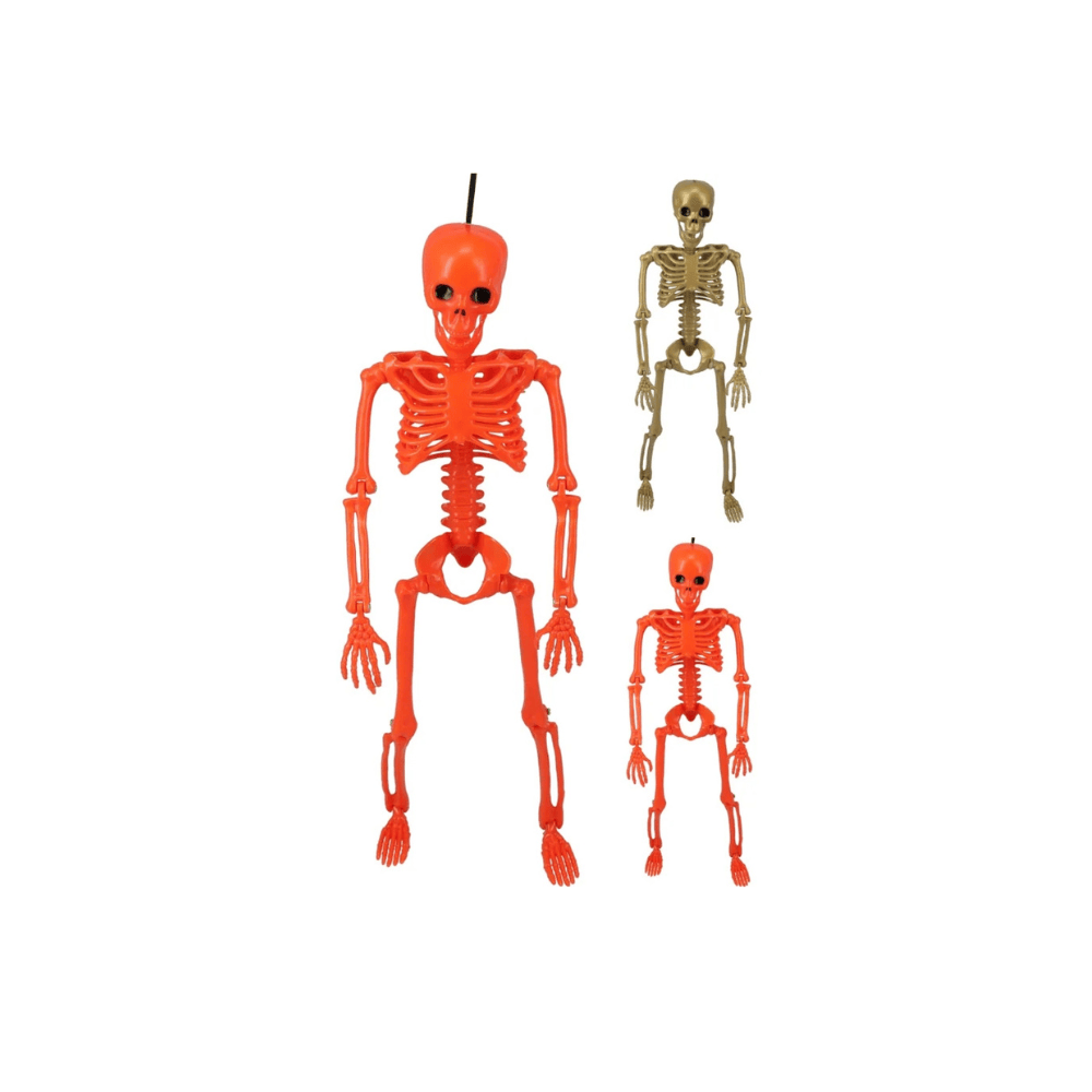 Alpha 55 Squelette 40 cm 2 Assortiments Décoration Halloween