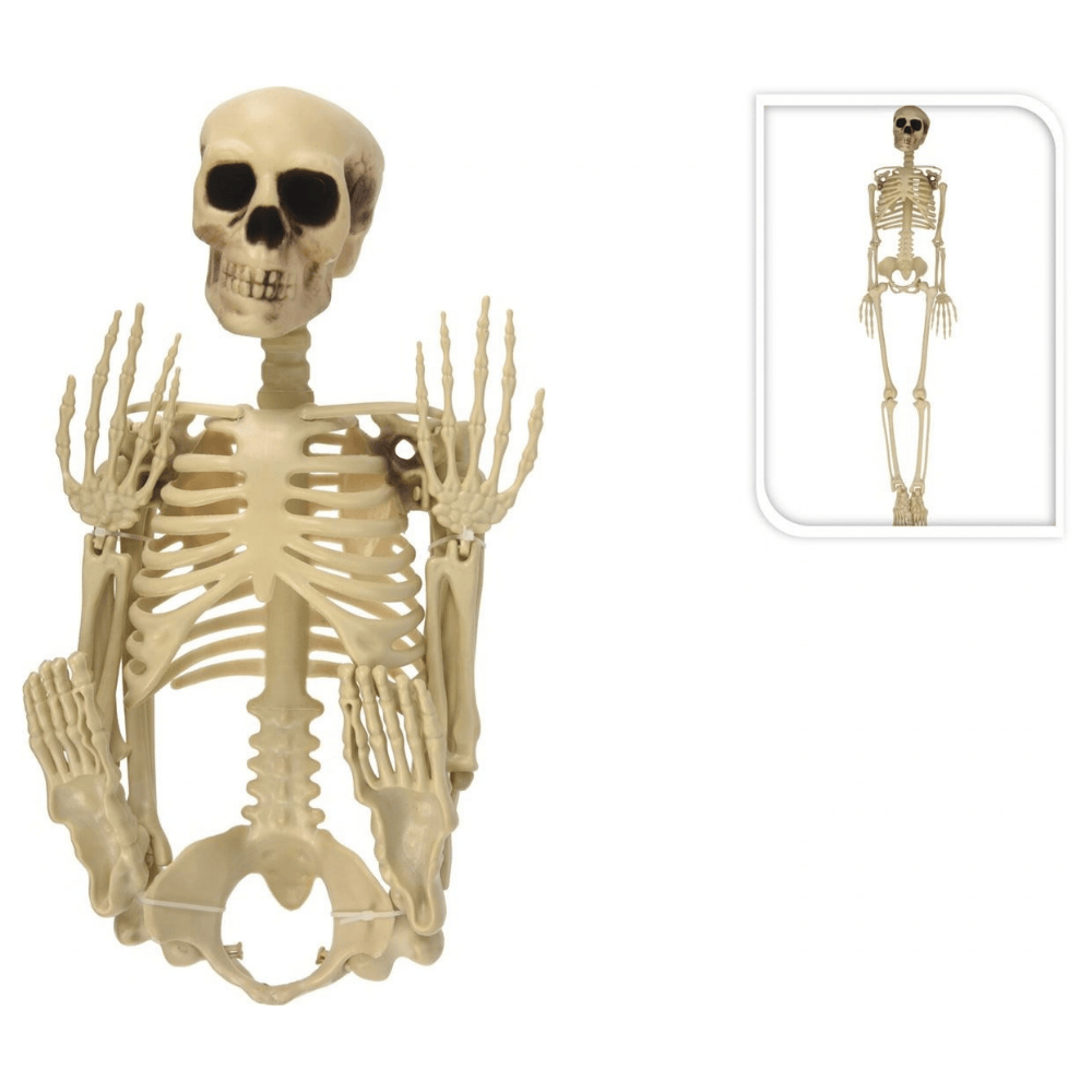 Alpha 55 Squelette 90 cm – Décoration Halloween