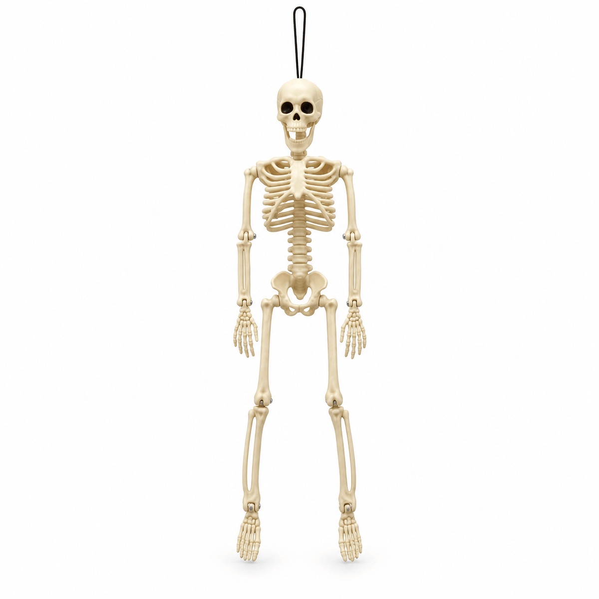 Alpha 55 Squelette Structure 40 cm – Décoration Halloween