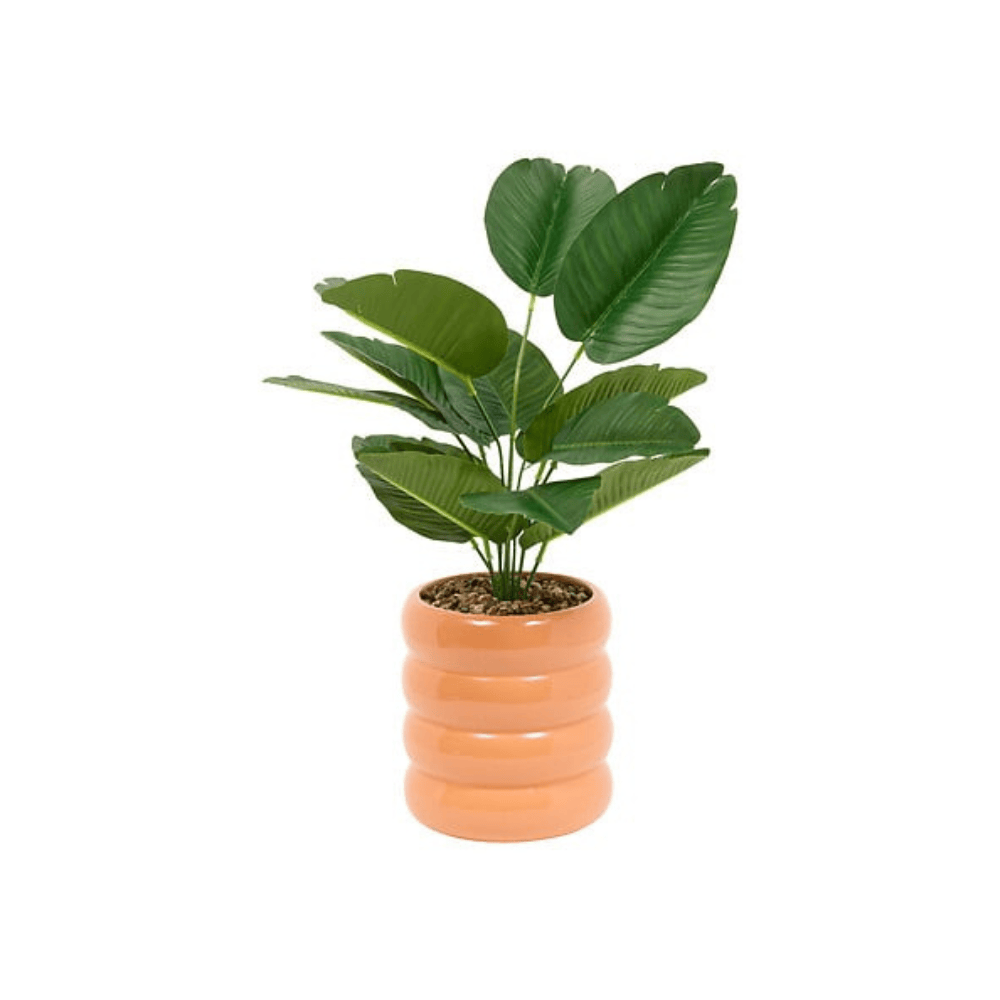 Alpha 55 Strelitzia Poolside pot en céramique décoratif