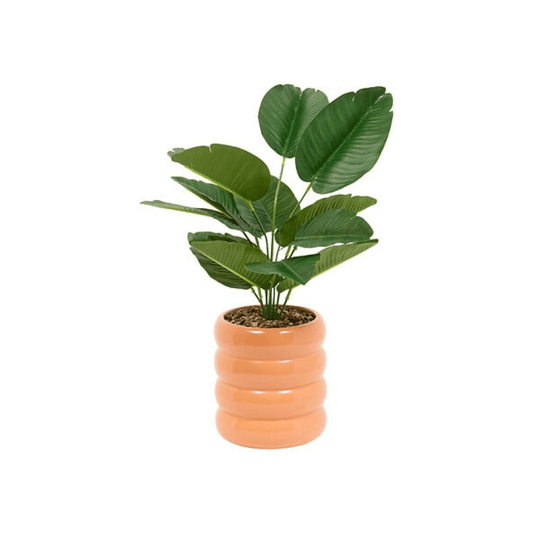 Alpha 55 Strelitzia Poolside pot en céramique décoratif