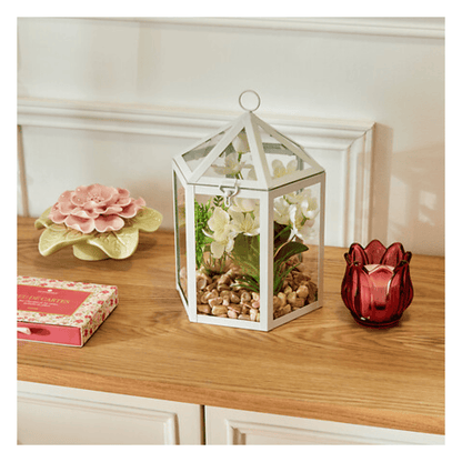 Alpha 55 Terrarium cage en métal Fleur de Rose déco