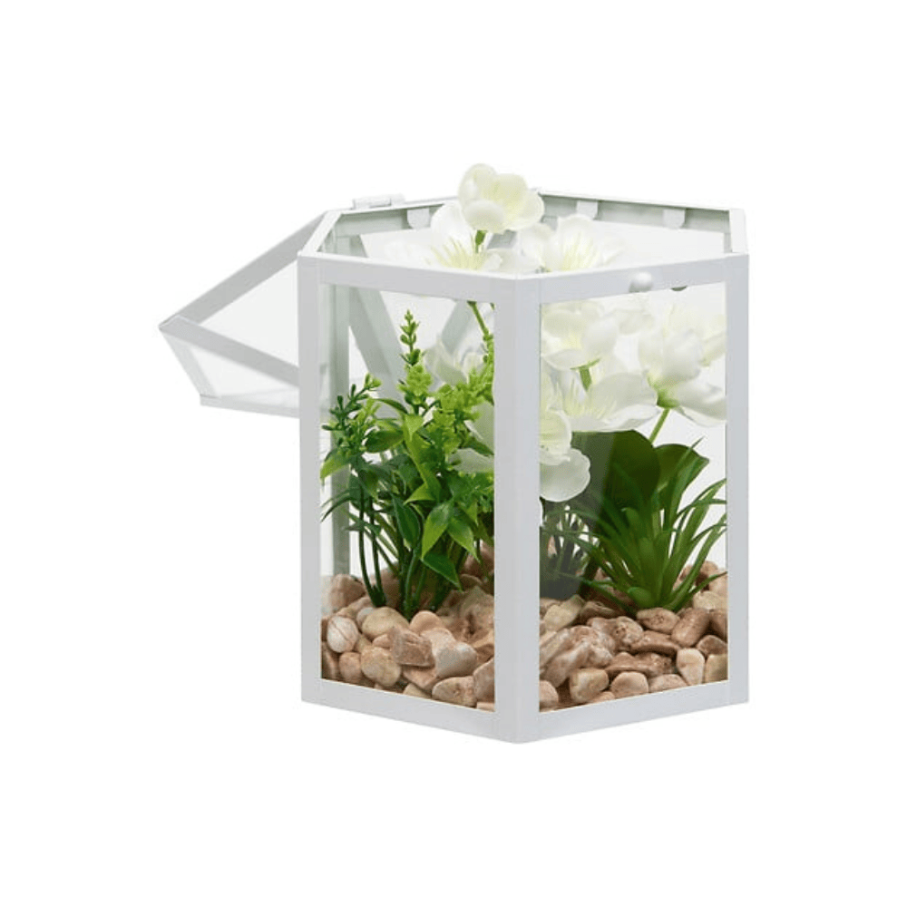 Alpha 55 Terrarium cage en métal Fleur de Rose déco