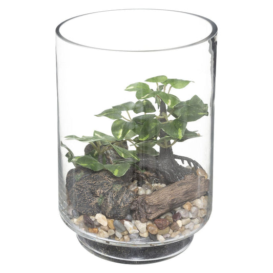 Alpha 55 Terrarium en verre Bonsaï artificiel H 19 cm