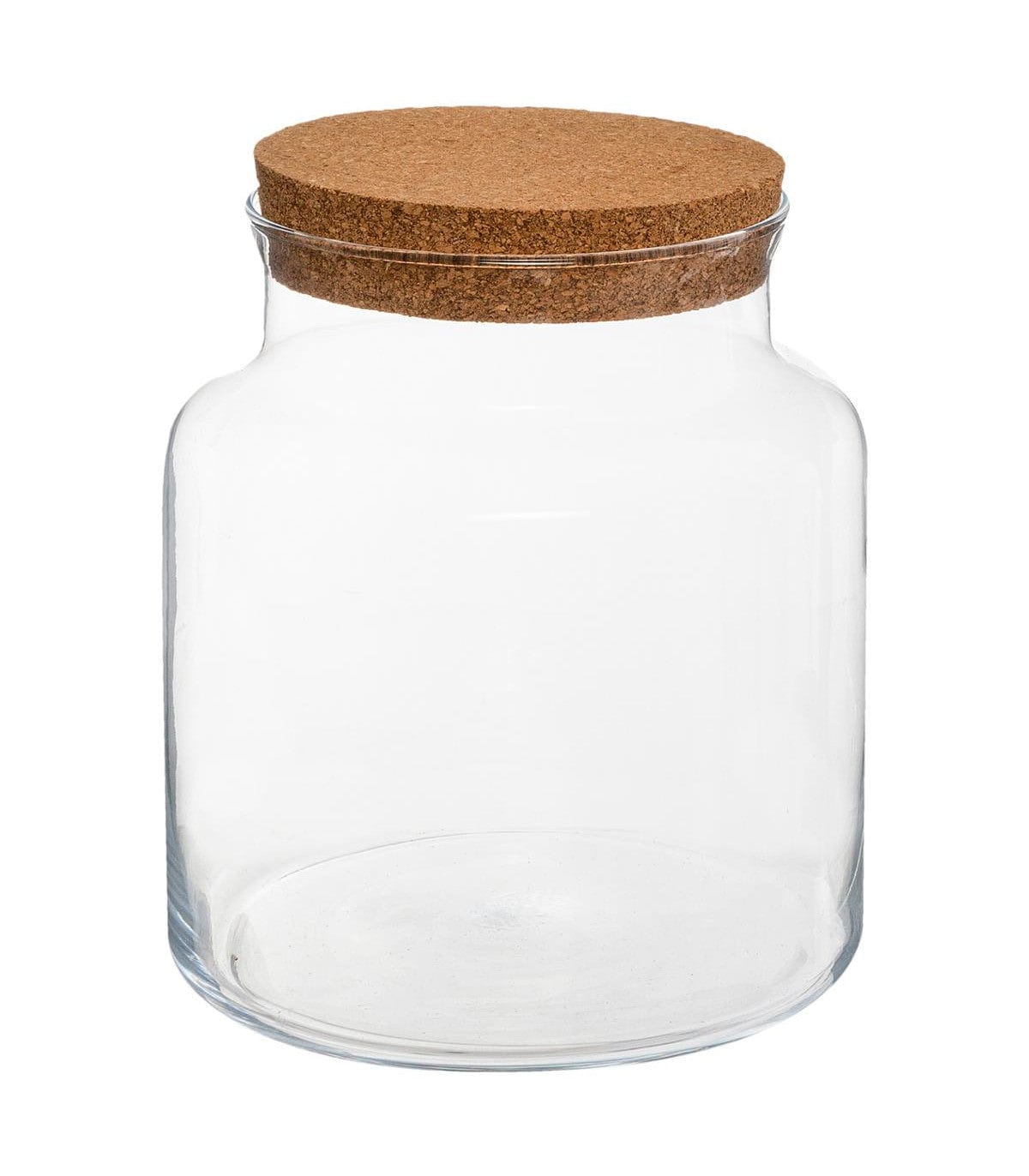 Terrarium verre 21x17 cm transparent