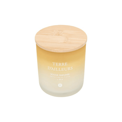 Alpha 55 Terre d'Ailleurs Bougie Parfumée Sana 255 g en Pot Verre