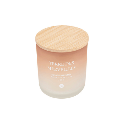 Alpha 55 Terre des Merveilles Bougie Parfumée Sana 255 g en Pot Verre