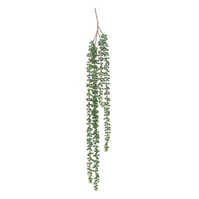 Alpha 55 Tige tombante séneçon 73cm vert