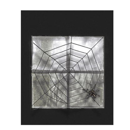 Alpha 55 Toile d’Araignée 1,5 m Décoration Halloween
