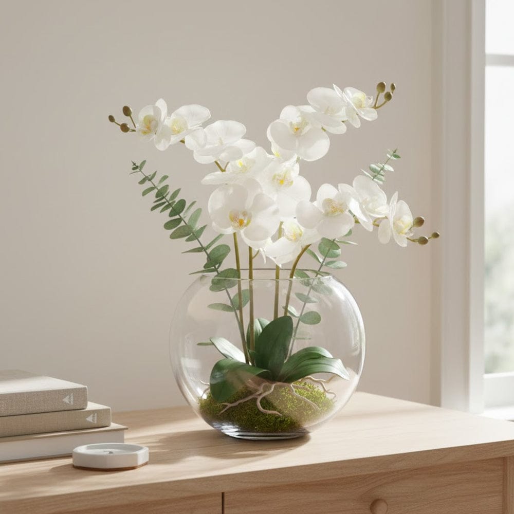 Alpha 55 Vase Boule en Verre Transparent – Déco Élégante