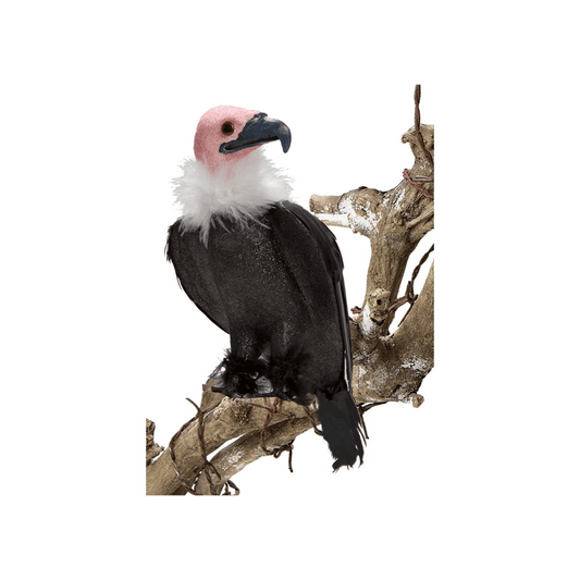 Alpha 55 Vautour décoratif d’Halloween