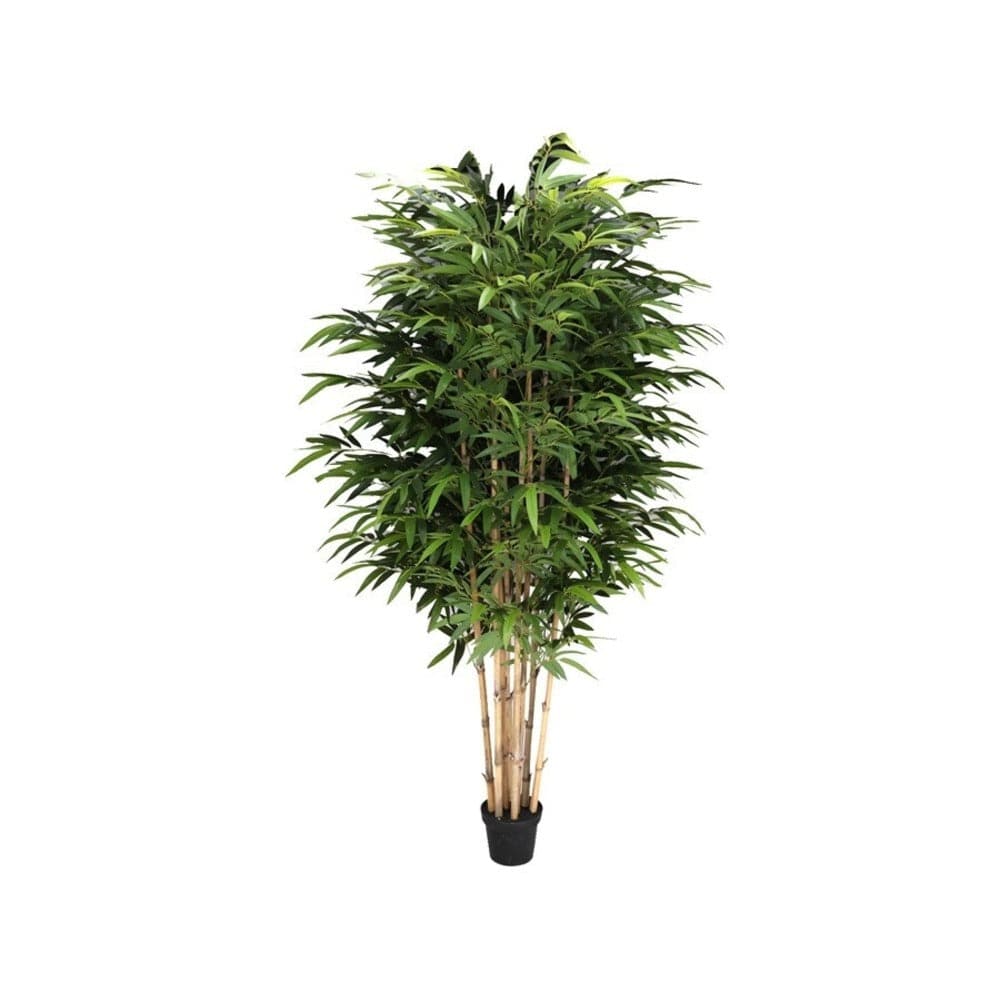 Alpha 55 Vert Plante bambou artificiel