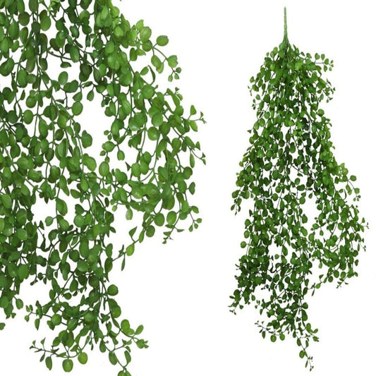 Alpha 55 Vert Plante suspendue eucalyptus x7