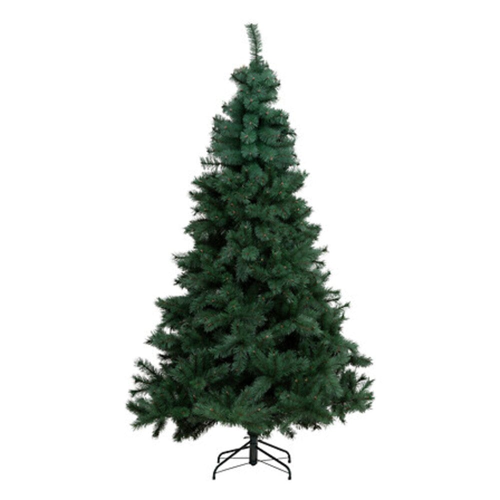 Alpha 55 Vert Sapin Windy Peak 300 cm vert – Grand sapin de Noël Alpha55