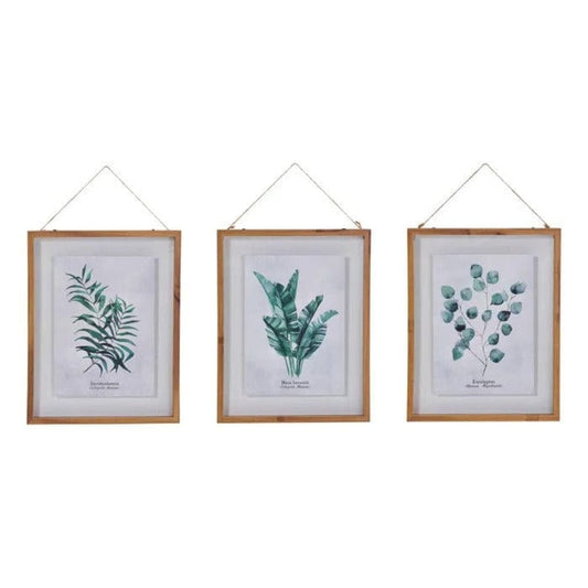 Alpha55 Cadre en verre "feuille"