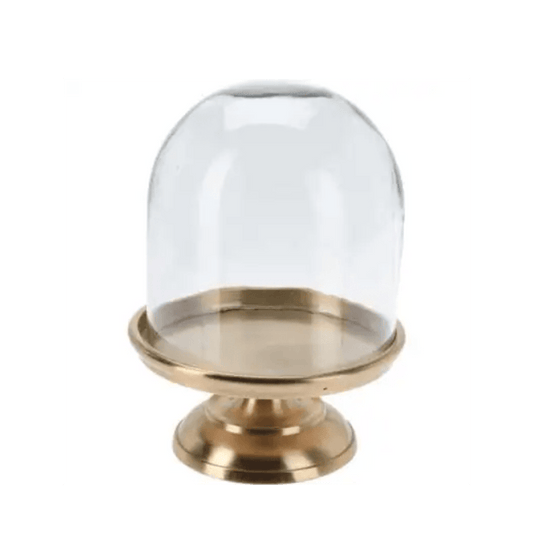 Alpha55 Cloche en verre sur pied – Qualité & Prix chez Alpha55 – Accessoire essentiel au quotidien