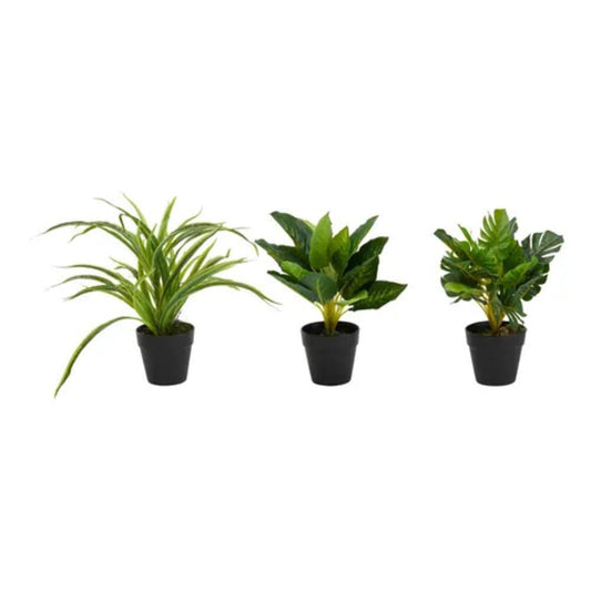 Alpha55 Plante artificielle