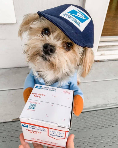 Déguisement Livreur avec Colis pour Chien et Chat