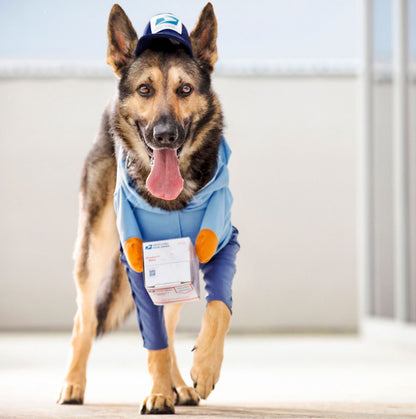 Déguisement Livreur avec Colis pour Chien et Chat