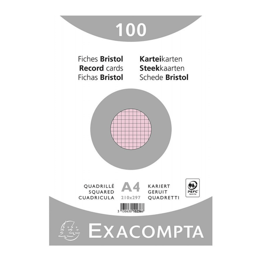 EXACOMPTA Fiches Exacompta A4 Roses – Support de Notes et Classement
