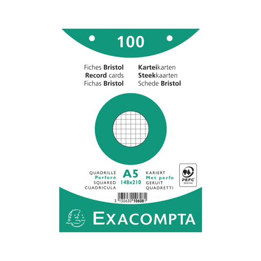 Lot de 100 Fiches Bristol Perforées – Organisation et Révisions — Alpha 55 Maroc