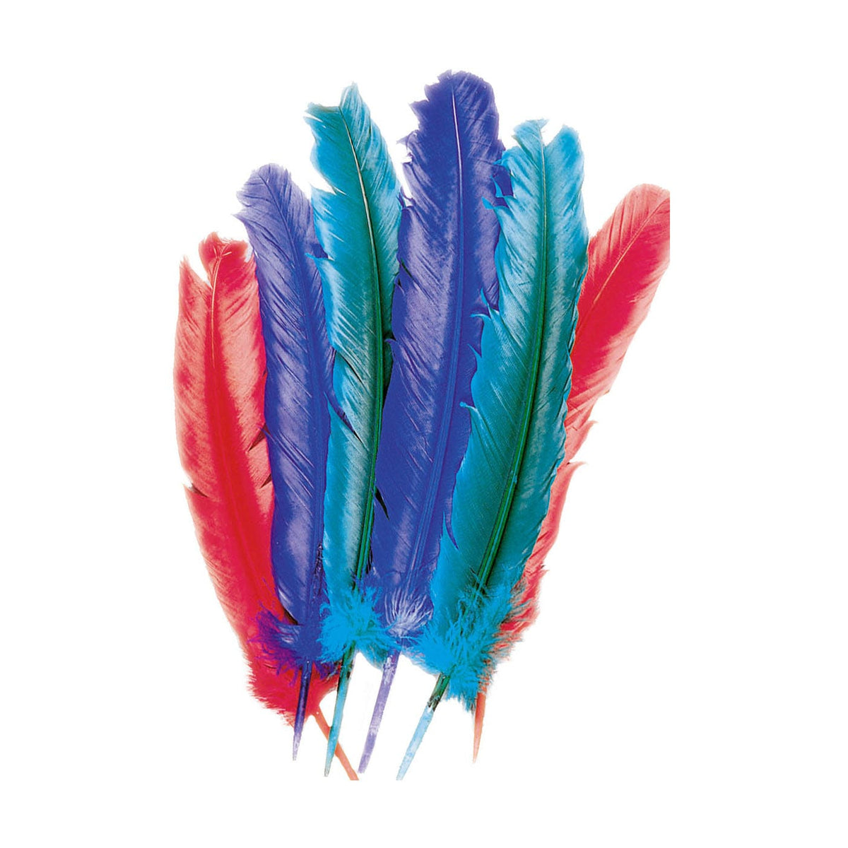 PLUME Décoration de table, lot de 10 plumes à poser 25 cm